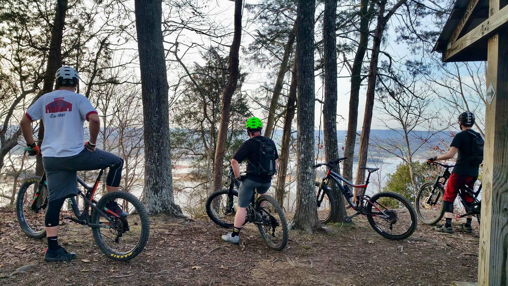 Mountain Biking web
