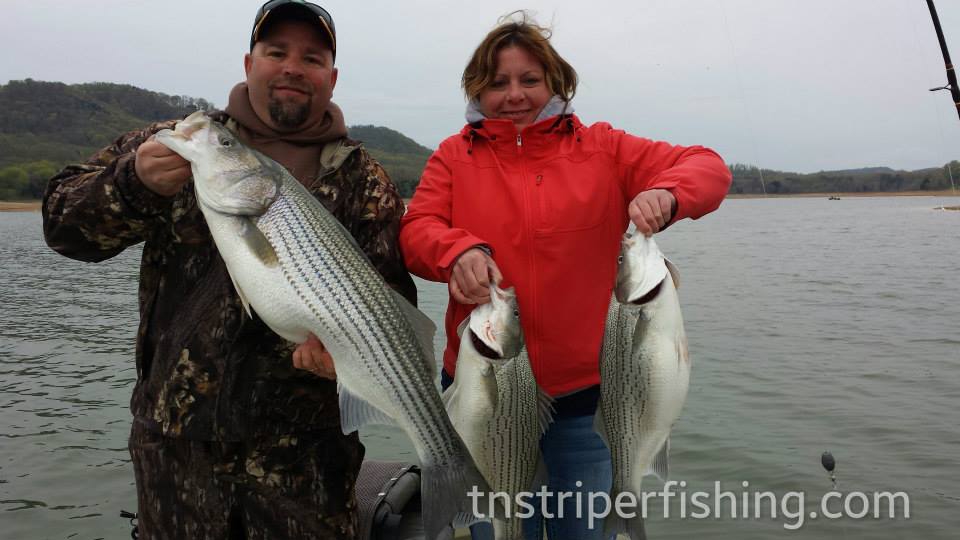Jay's Striper