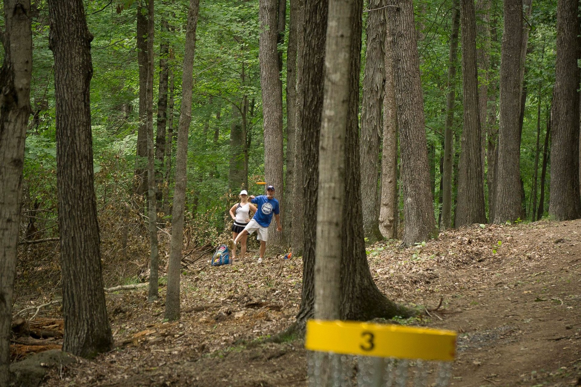 Panther Creek 3 web